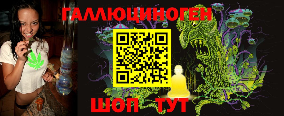 Галлюциногенные грибы Psilocybine cubensis  Вход с VPN  Краснокаменск 