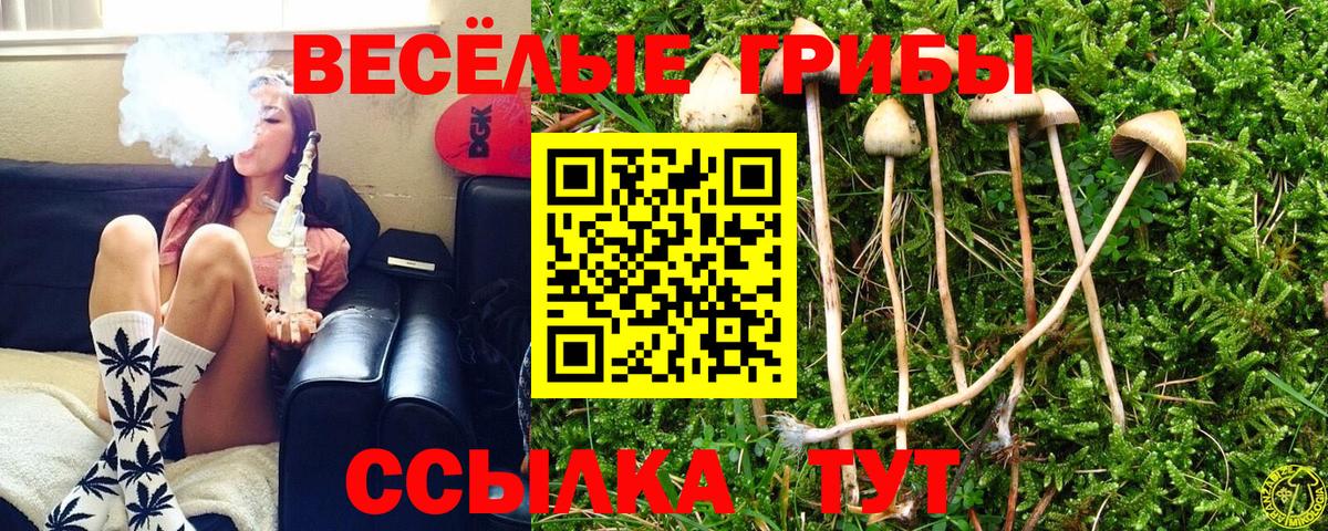 Псилоцибиновые грибы GOLDEN TEACHER Краснокаменск